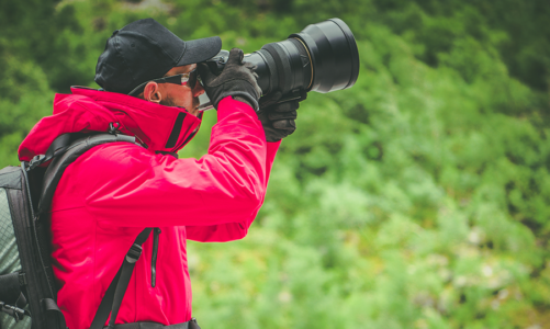 Wildlife Trail Cameras For Wildlife Loving Photographers