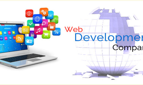 Selecting the Most Reputable Web Development Company