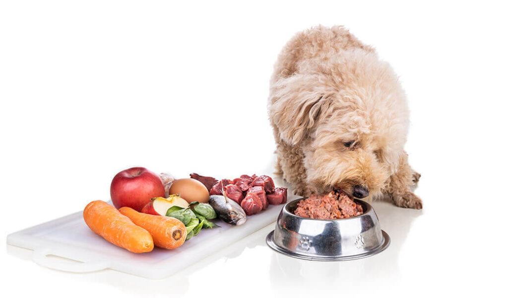 Pork in Your Dog's Diet